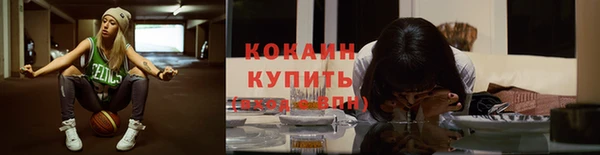 Альфа ПВП Аркадак