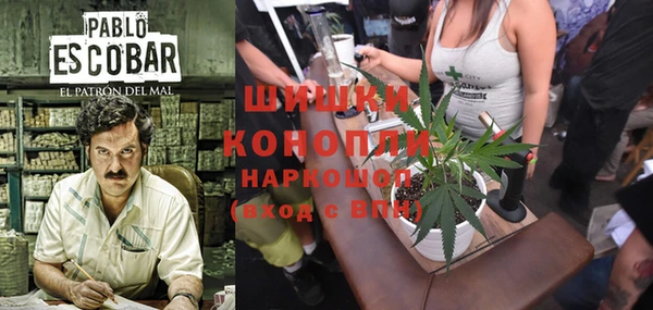 Альфа ПВП Аркадак