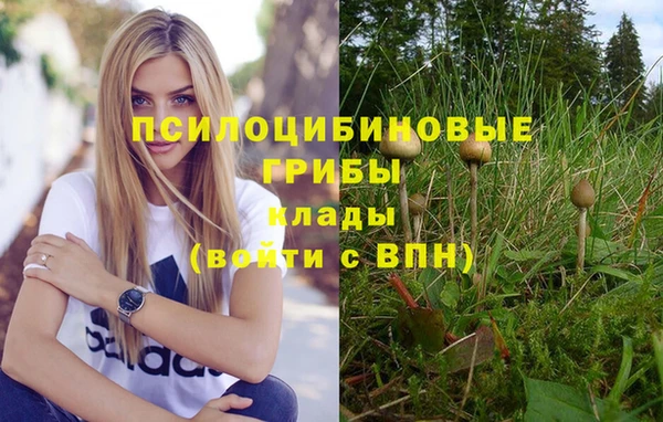 прущая мука Армянск